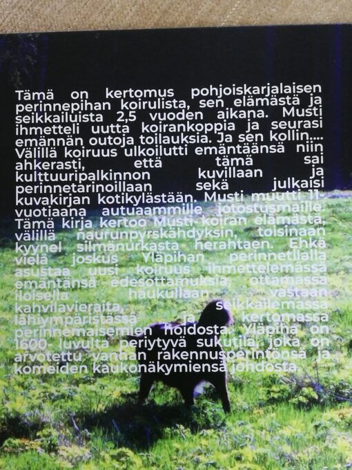 Mustin päiväkirjasta. Marjo-Riina Häkkinen - Image 2